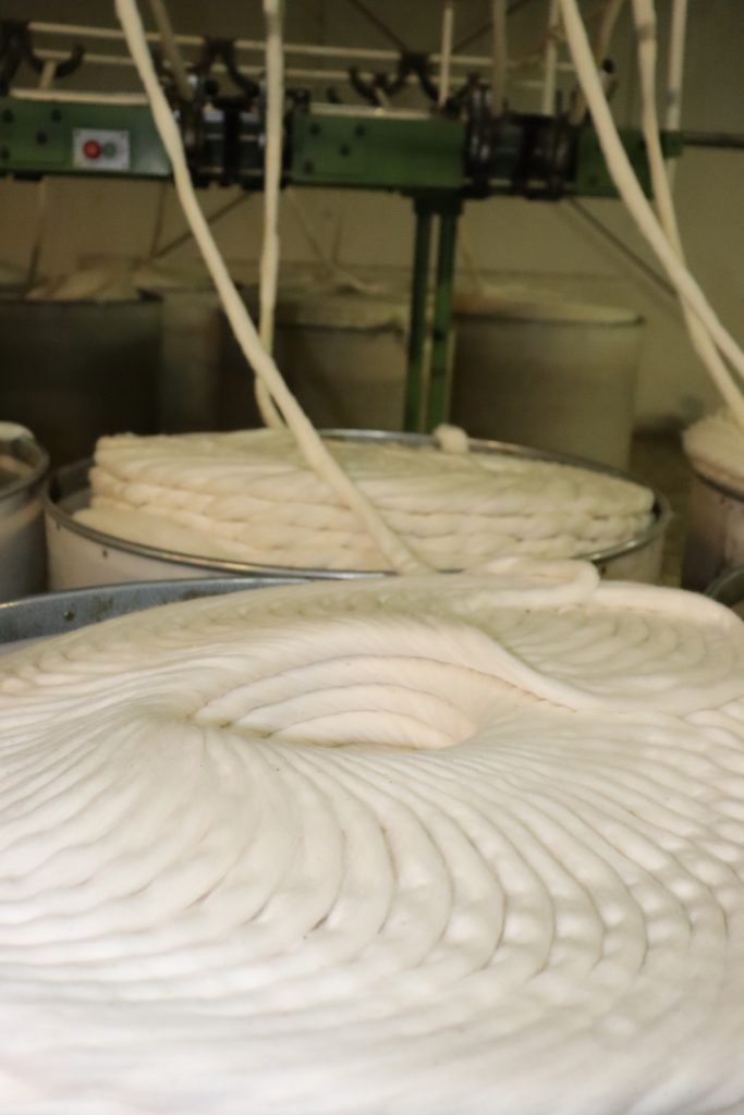 Cotton Yarn in Ethiopia A Fact Finding tour ETGAMA