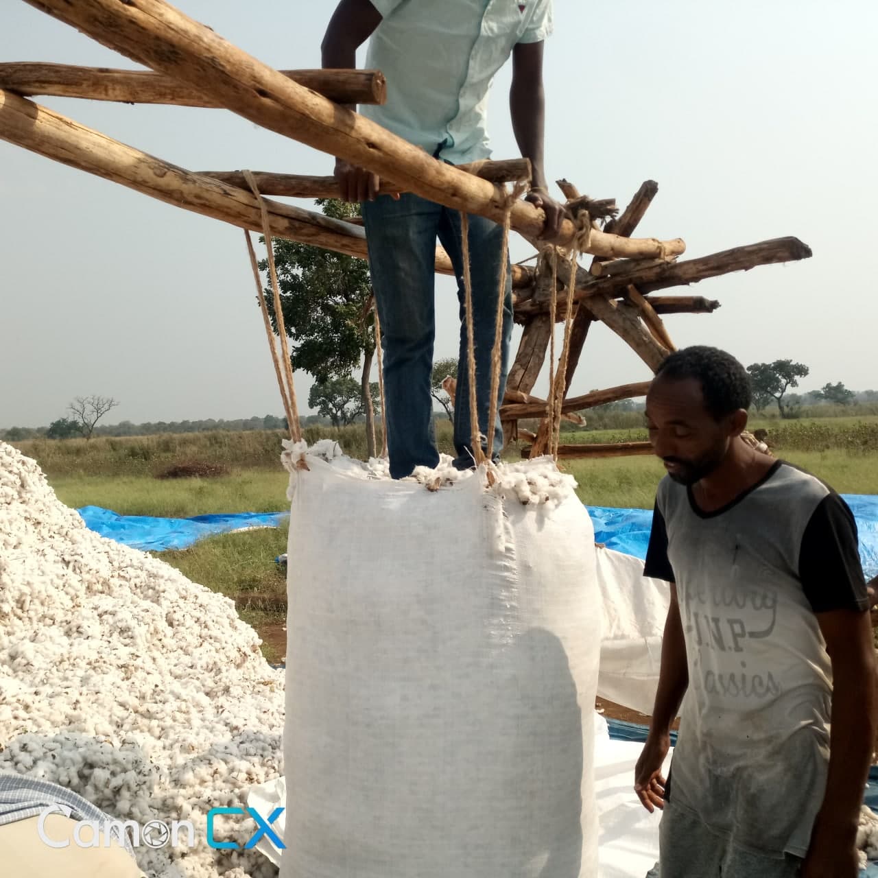 Ethiopian cotton richintradition ETGAMA